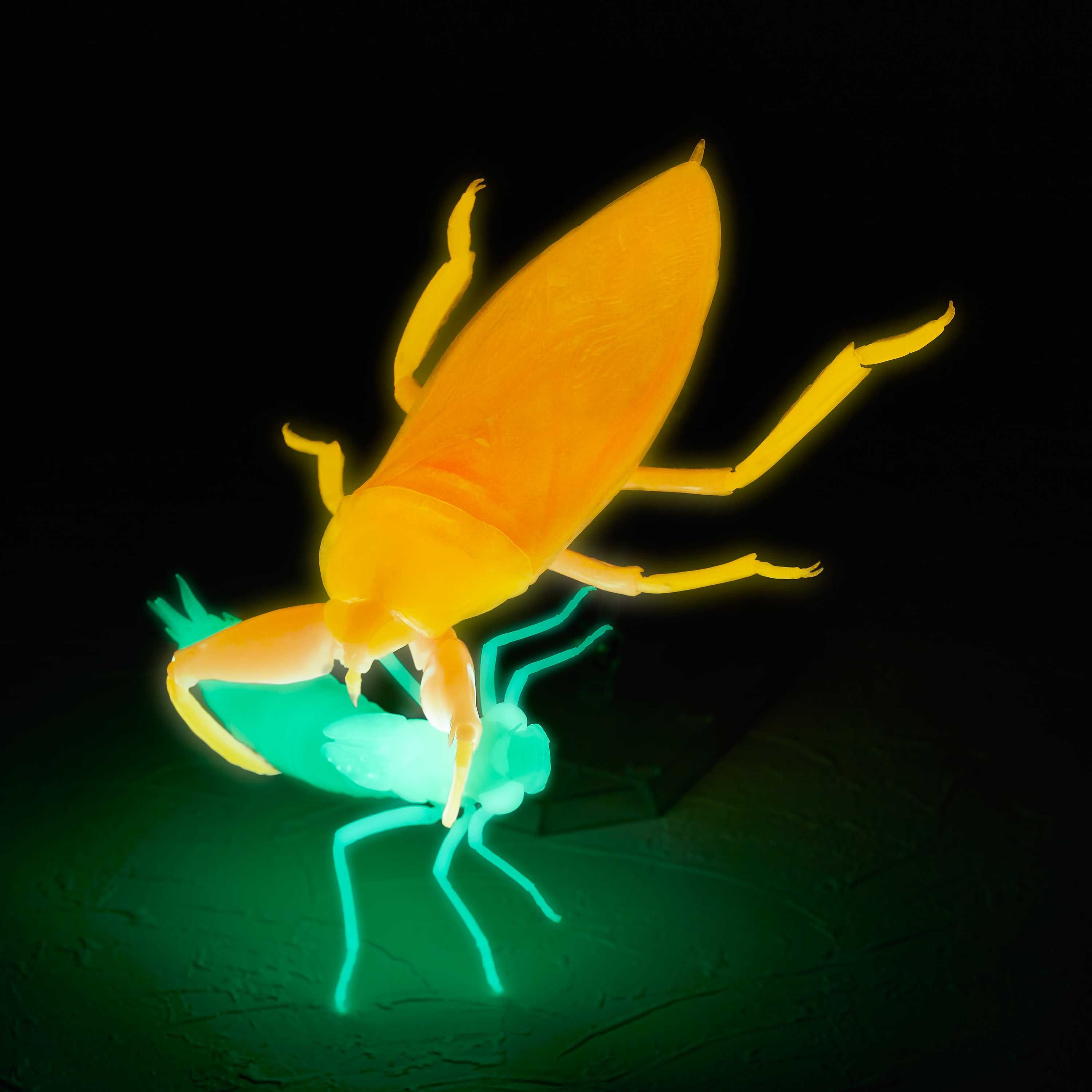 RevoGeo | フィギュアの造形企画製作、販売を行う株式会社海洋堂