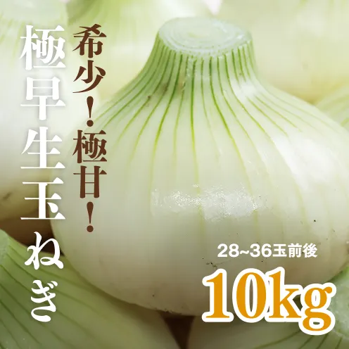 海月うまいもん市場 / 極早生玉ねぎ特集