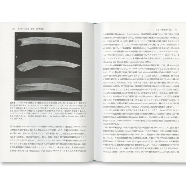 ジュゴンとマナティー 海牛類の生態と保全 – 海想