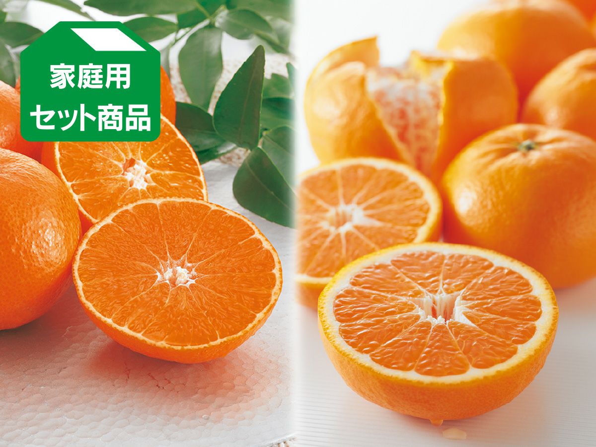 媛まどんな＆はれひめセット約4kg(各2kg)家庭用 | のま果樹園