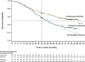 心アミロイドーシスの診療ガイドライン2025Ver.2 遠藤仁先生 | 川村