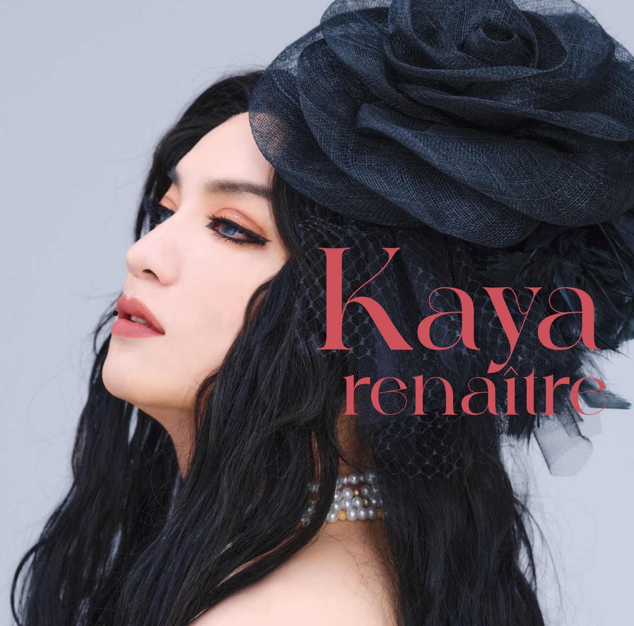 Kaya Offcial Website 薔薇中毒 – Rose Addict – – 耽美派歌手 Kaya の