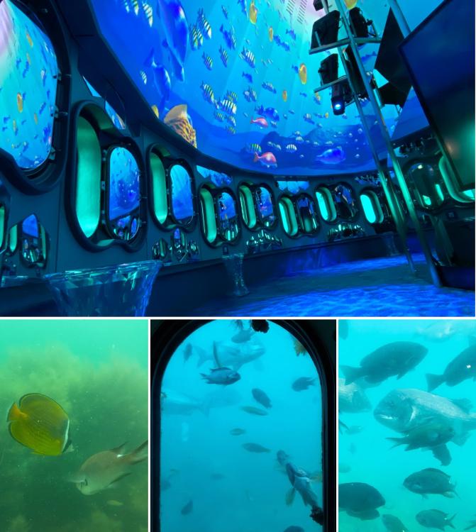 リニューアル】360°海の世界！『玄海海中展望塔』リアルとバーチャルの