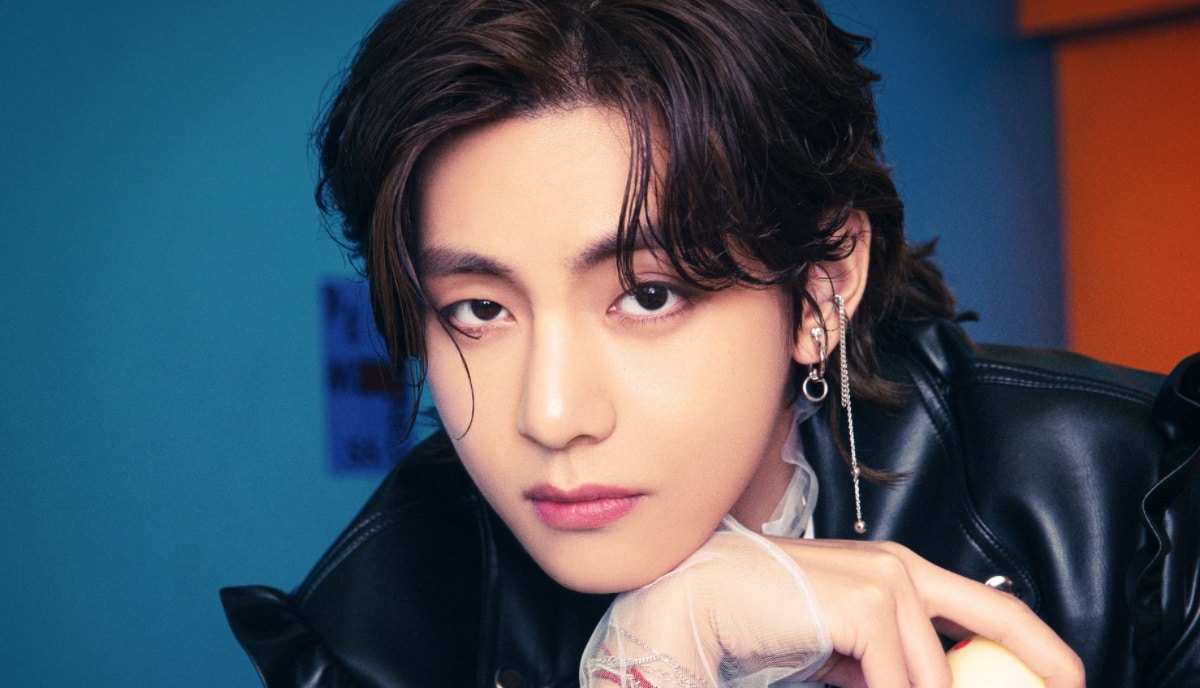 BTS BTS テヒョン テヒョン 公式うちわセット BTS テテ V うちわセット