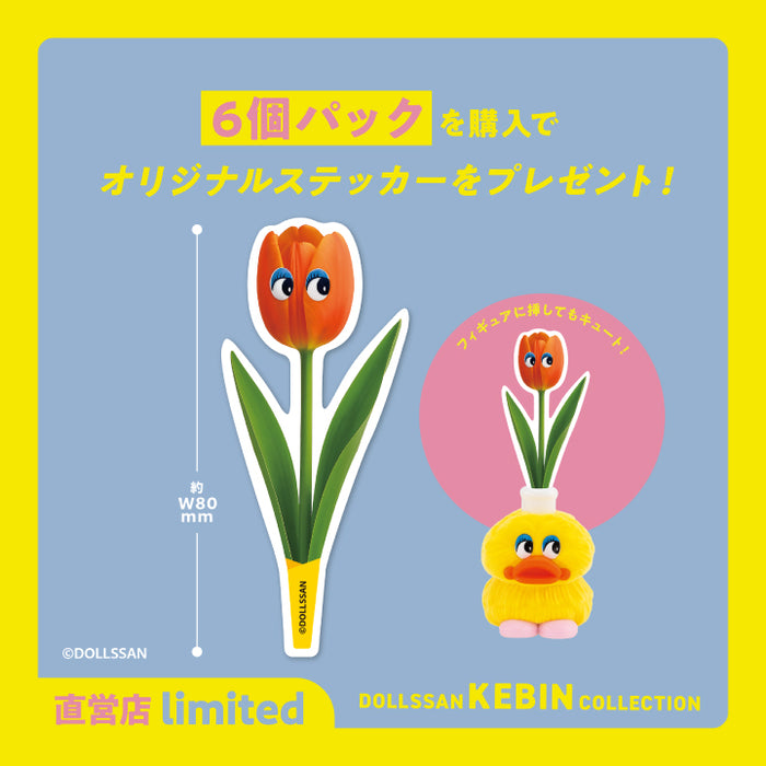 DOLLSSAN KEBIN コレクション