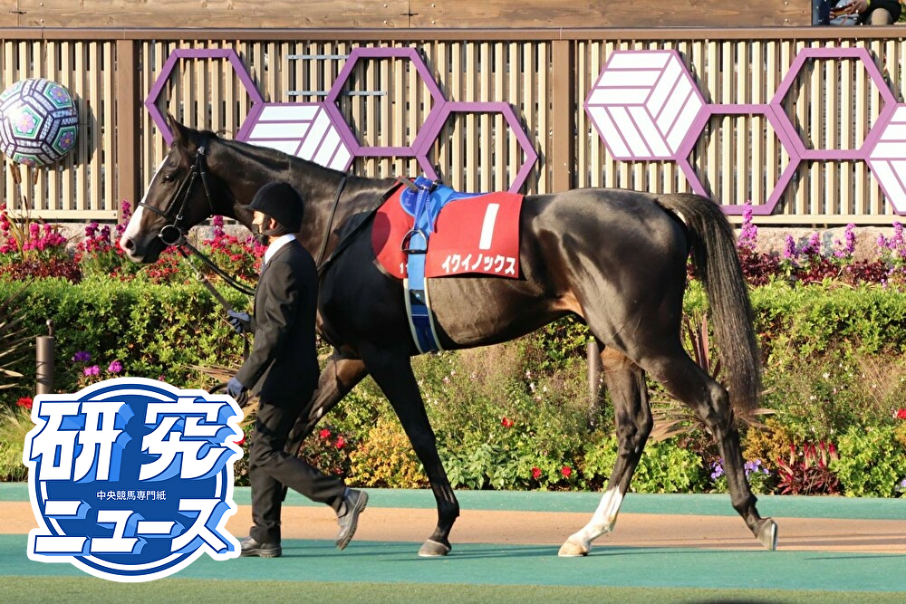 第26回 東京スポーツ杯2歳S 回顧 | 競馬 研究ニュース