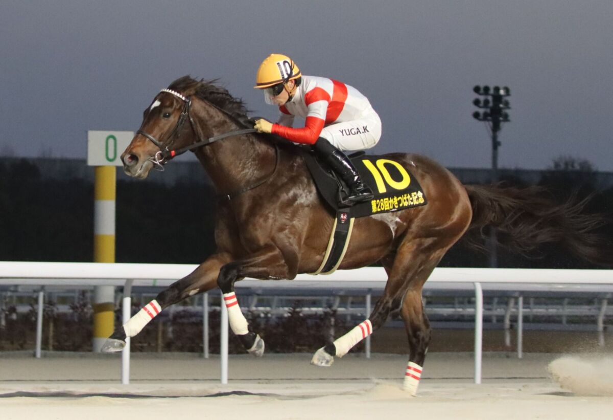 武豊騎手サイン入り ドウデュース日本ダービーレプリカゼッケンを出品