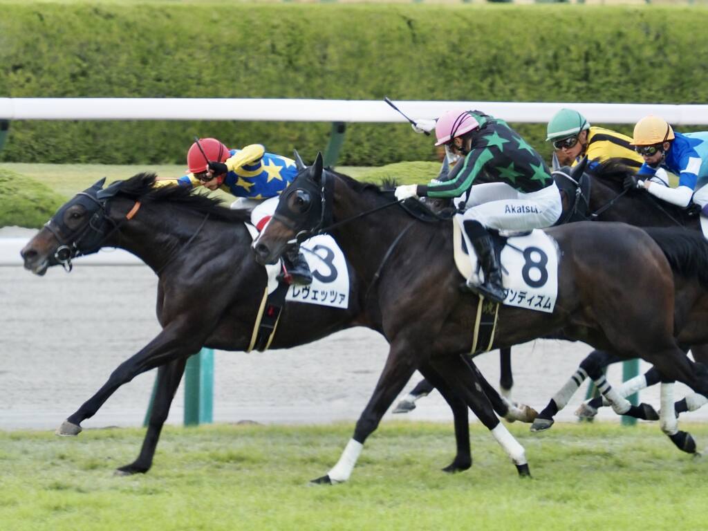 福島記念】パンサラッサが鮮やかな逃げ切り | 競馬ニュースなら競馬の