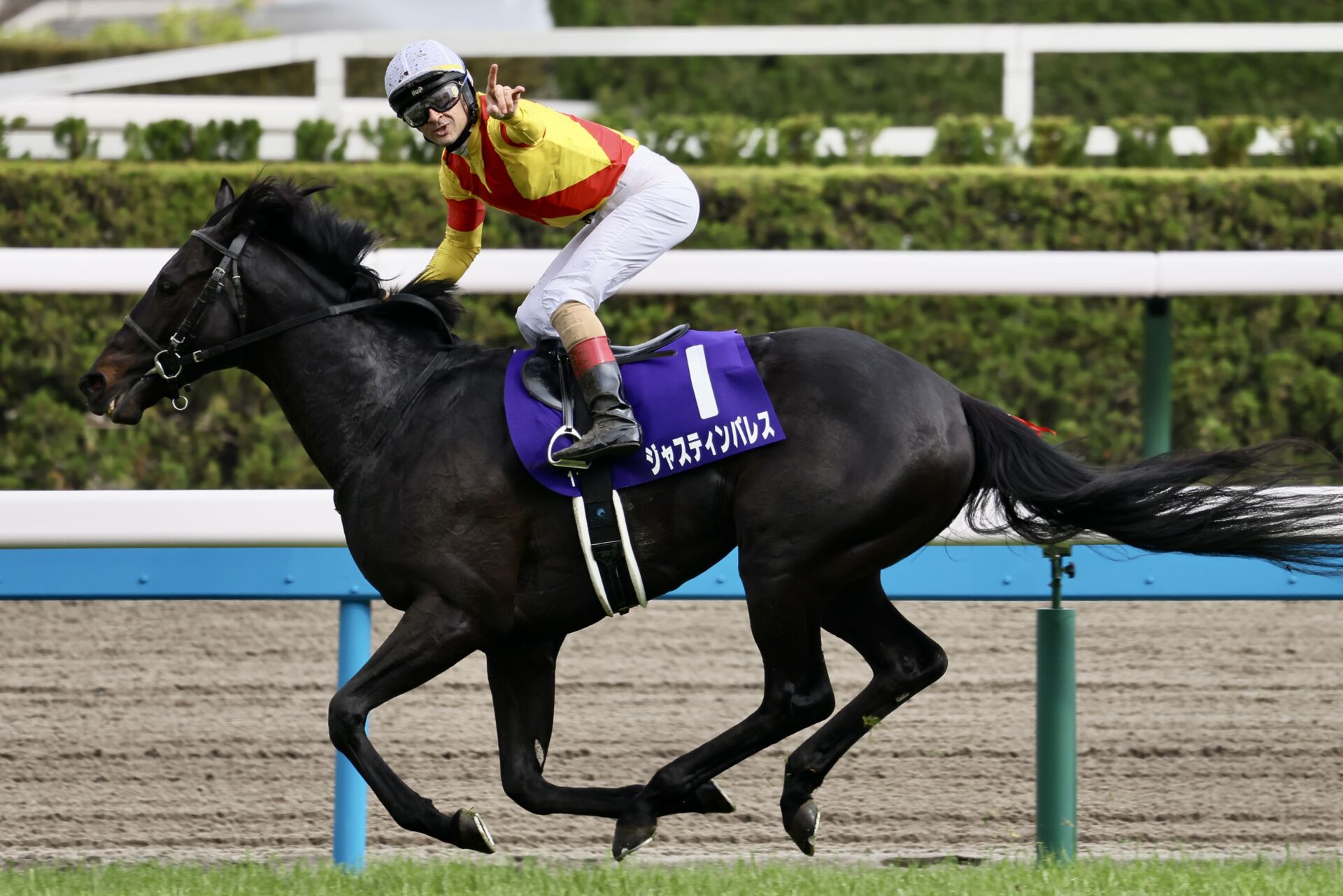 天皇賞・春】ジャスティンパレスがG1初制覇…タイトルホルダーは競走
