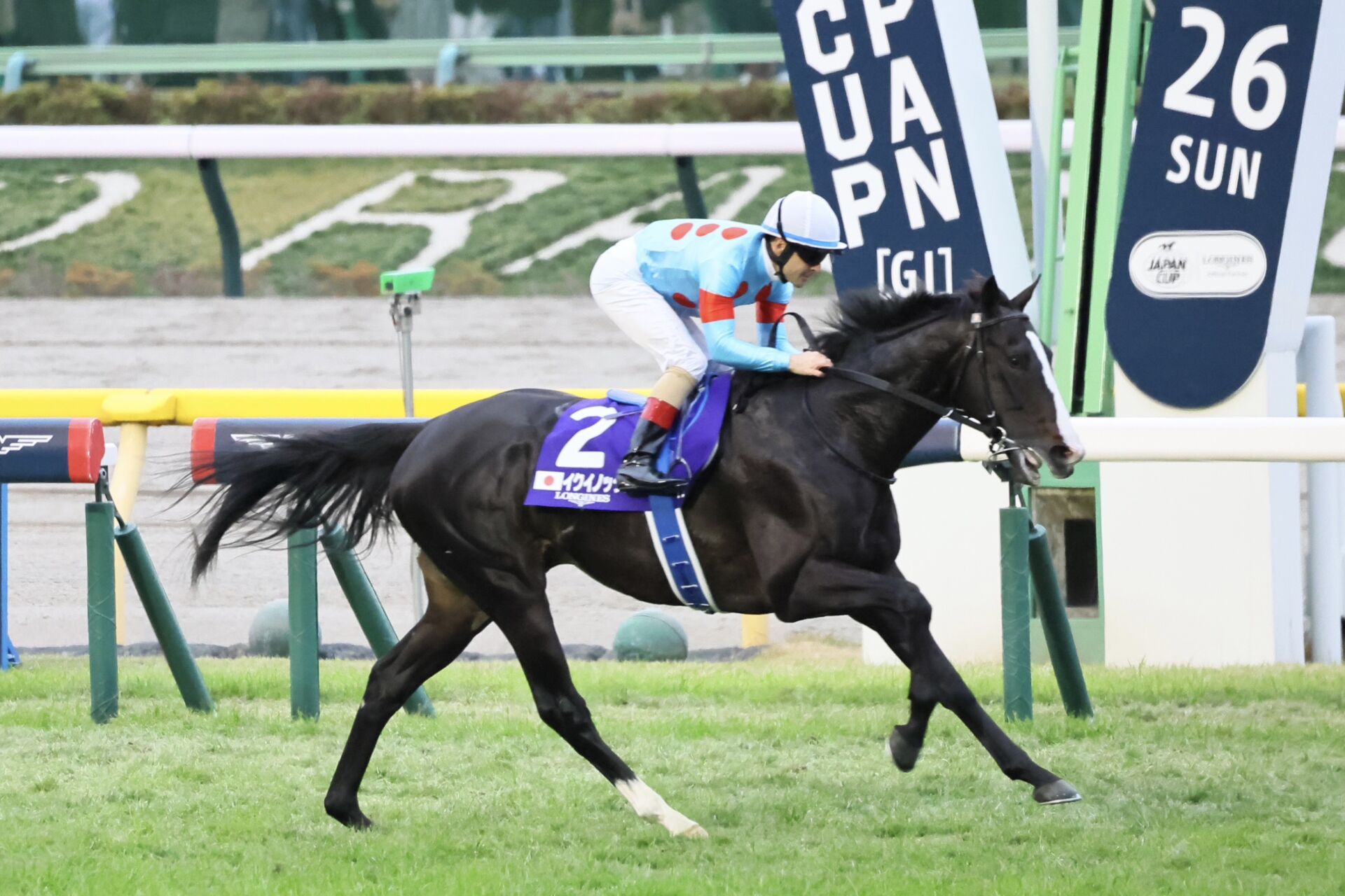 ジャパンカップ】世界最強イクイノックスがG1・6連勝！史上初総獲得