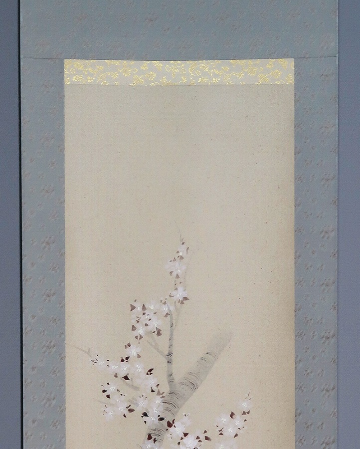 辰本青花 桜 | 掛軸(掛け軸)販売／表装ご依頼は掛軸いっぷく掛軸