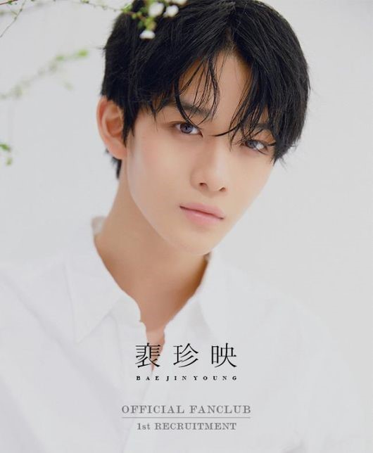 ペ・ジニョン、Wanna One(ワナワン)→グループC9BOYZ(仮)で正式