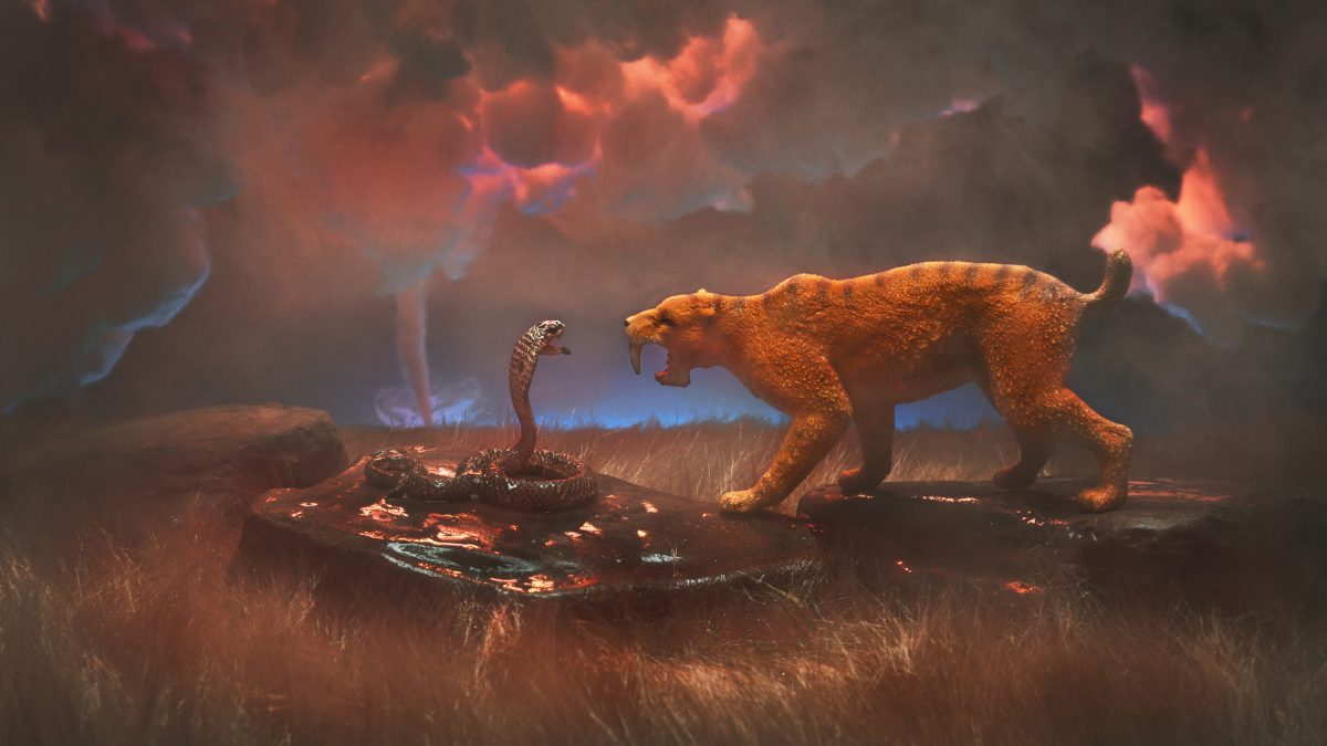 スミロドンとは？巨大な鋭い牙をもつ虎が絶滅した理由を英語で解説