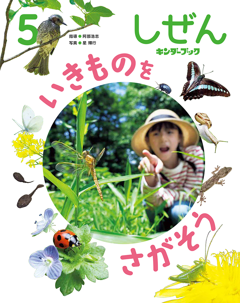 新年度 しぜん-キンダーブック - フレーベル館の月刊保育絵本