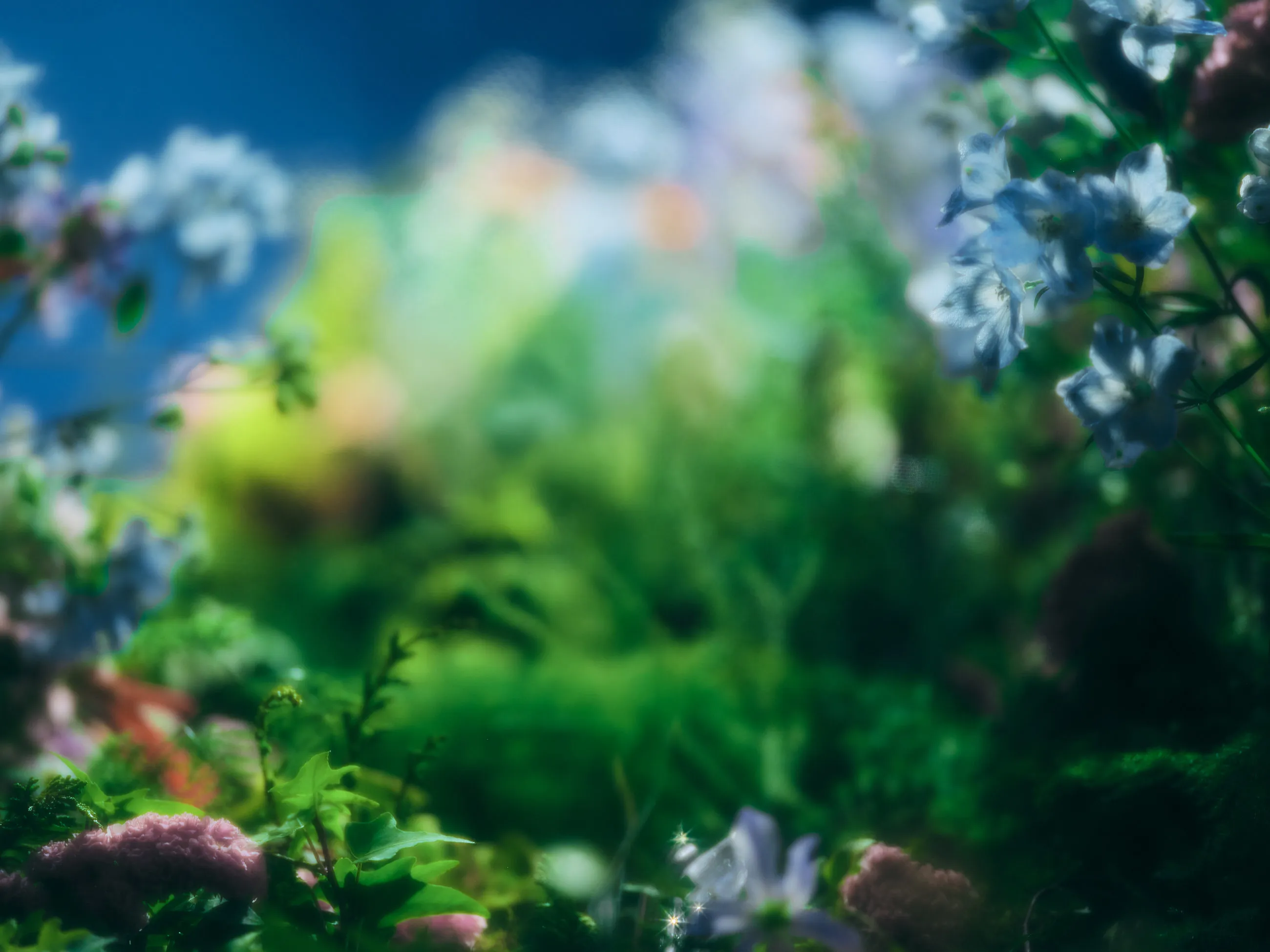 King & Prince | 18thシングル 「Waltz for Lily」2026.3.25 Release