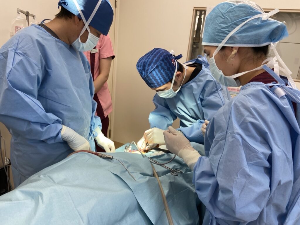 整形外科 手術風景 | 木下動物病院｜相模原中央・愛川町・座間市・厚木