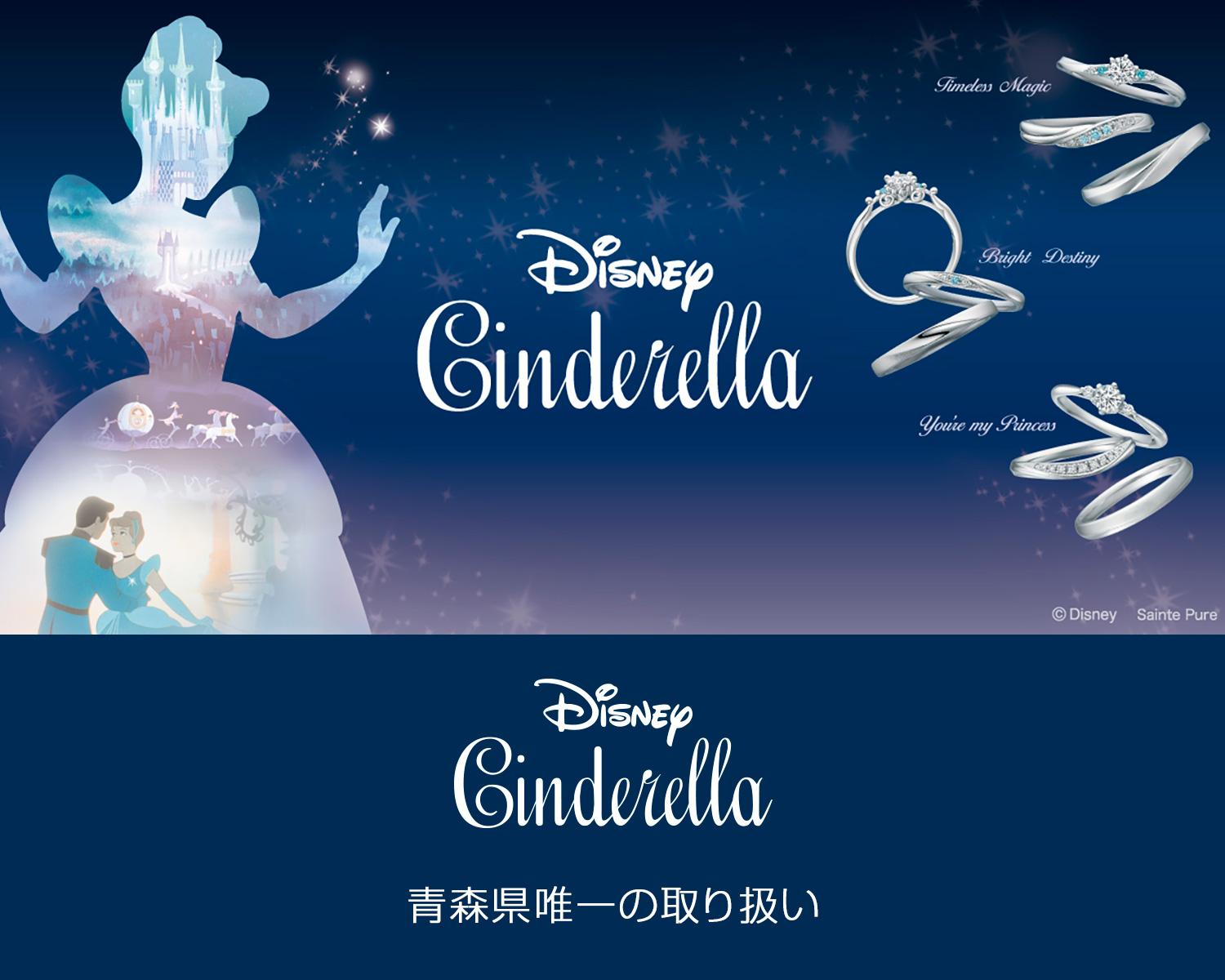 Disney Cinderella（シンデレラ）｜【公式】金正堂本店