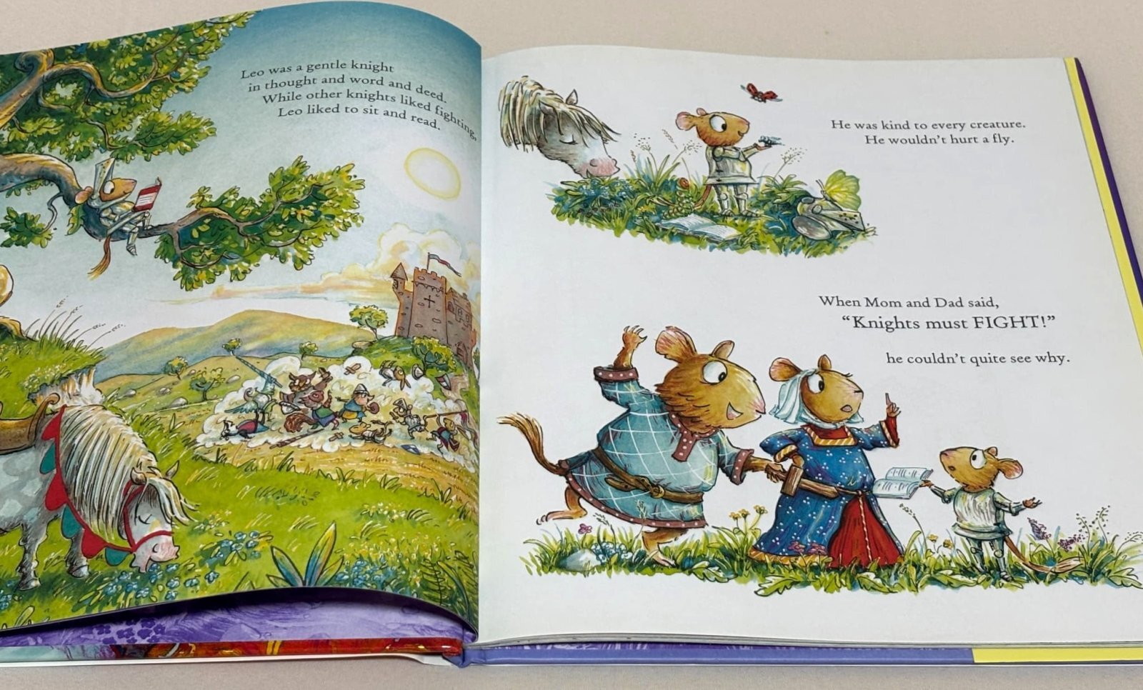 英語絵本】The Storybook Knight（Helen Docherty／ハードカバー