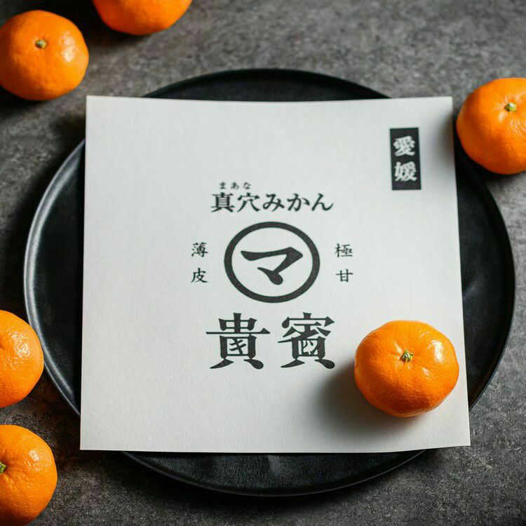 愛媛産】高級真穴みかん 貴賓(きひん)ーブランド｜真網代青果｜特級14個入