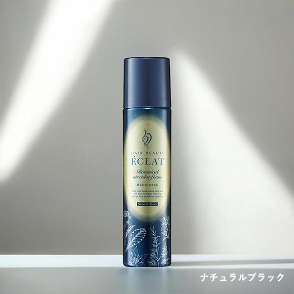 ヘアボーテ エクラ ボタニカルエアカラーフォームEX 白髪染め 手軽