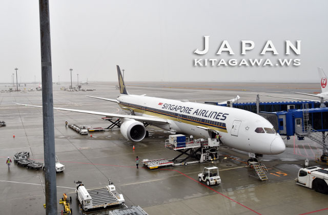 み*る様 シンガポール航空 ボーイング787-10 フラップダウン仕様