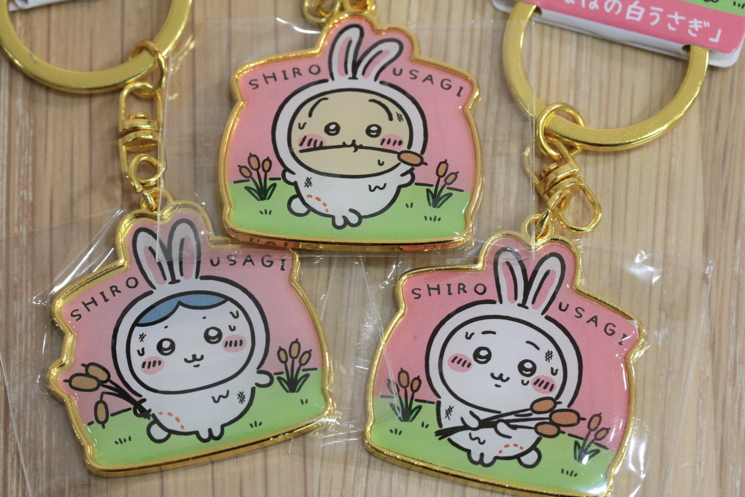 山陰限定！ご当地ちいかわ新発売！ | わたなべEC｜オンラインショップ