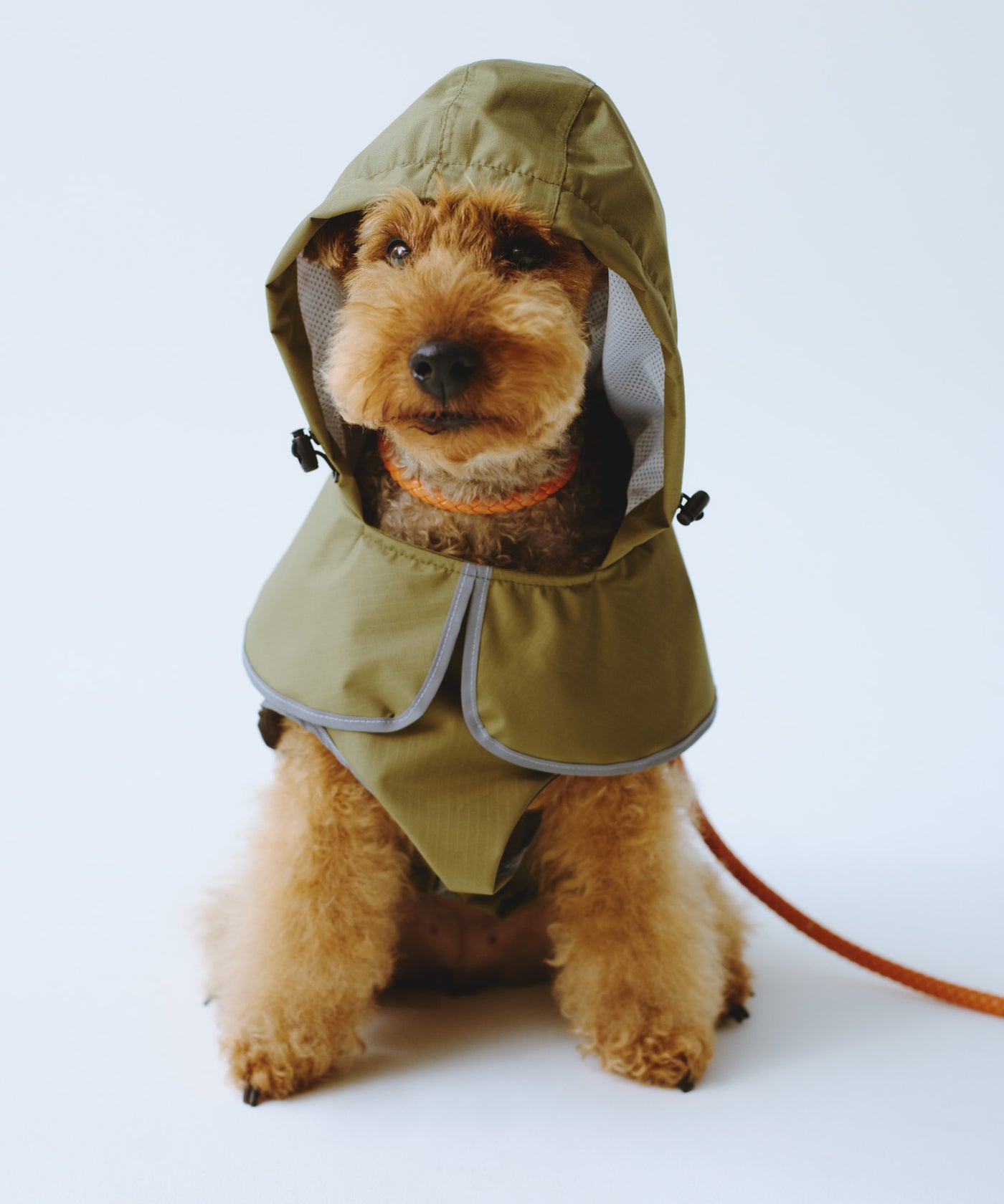 キウドッグレインポンチョ K505 – KiU公式オンラインショップ