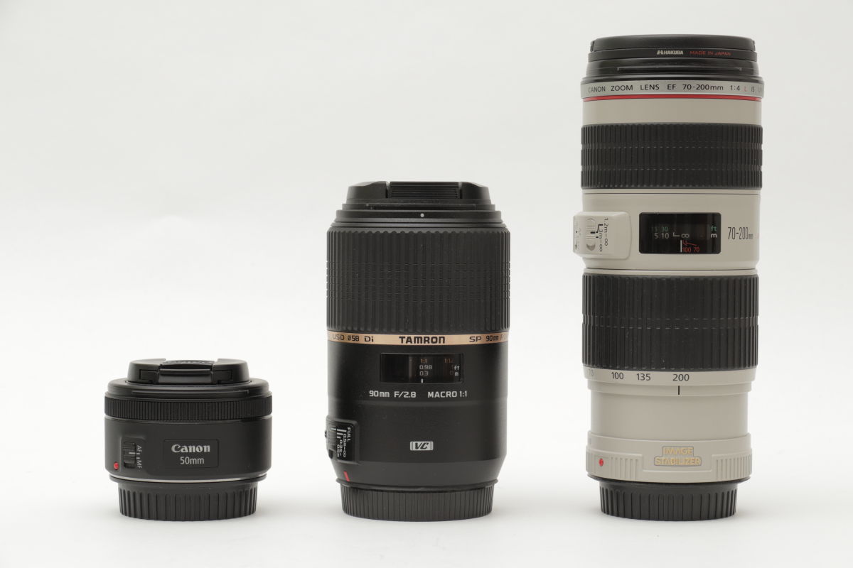 タムロンの90mmマクロレンズ「タムキュー」レビュー！中望遠マクロが