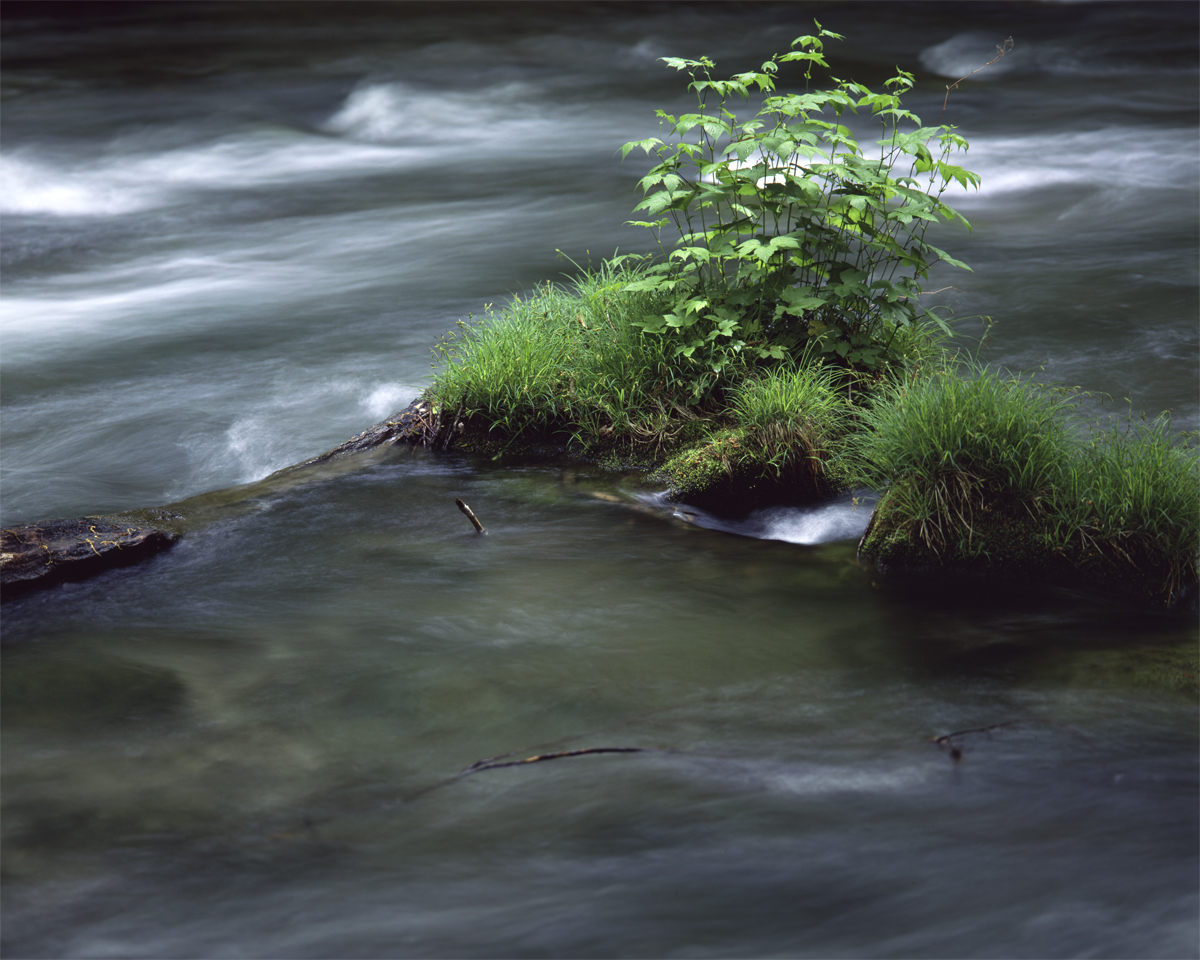 第178話 ニコン Nikonの大判レンズ ニッコール NIKKOR-M 300mm 1：9