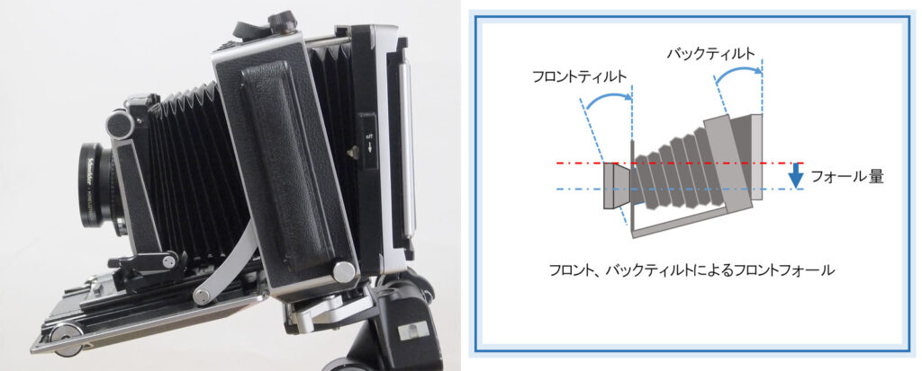 第40話 大判カメラのアオリ(2) フロントフォール – こぼうしの写真と