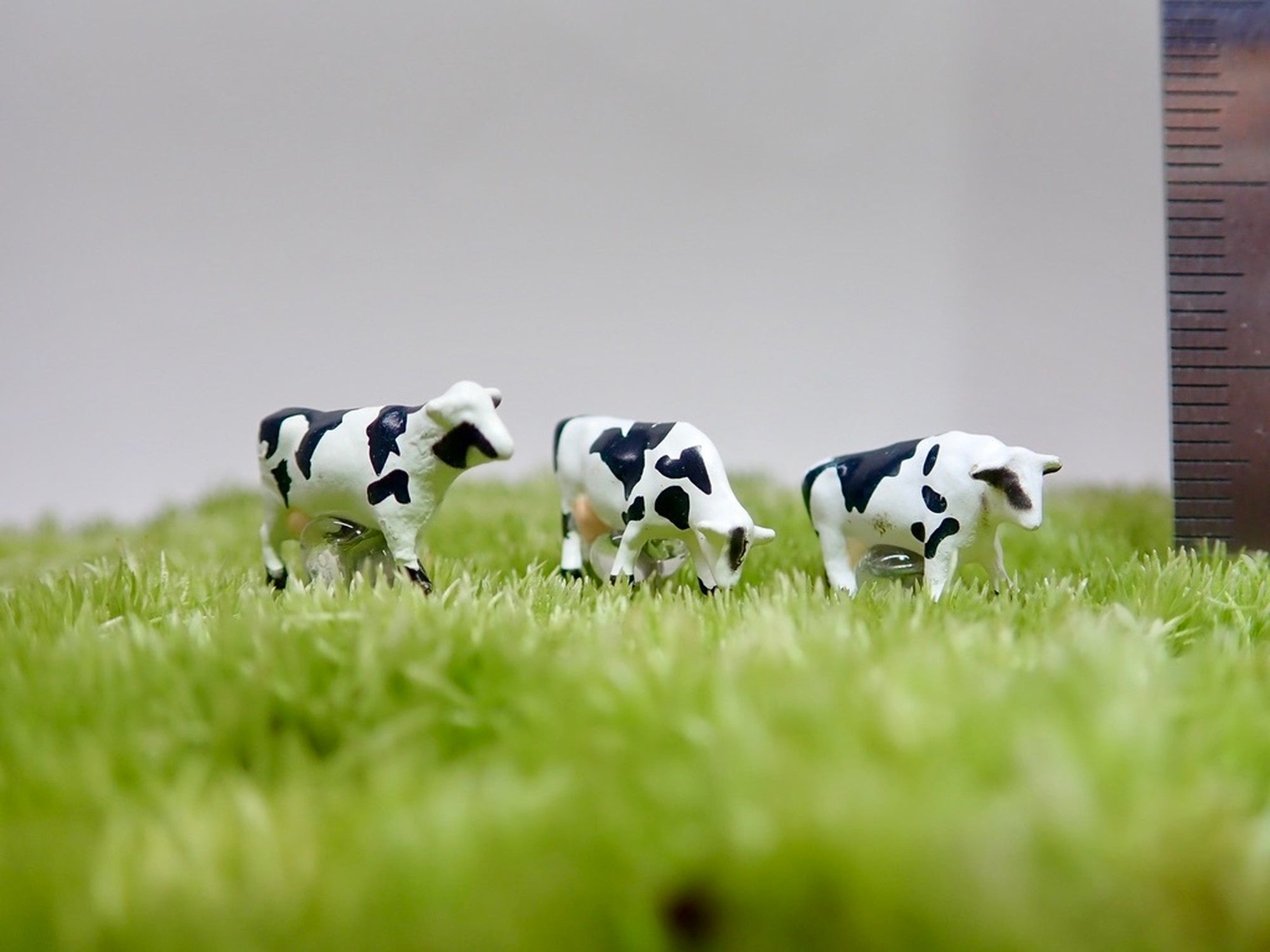 牛_ミニチュアフィギュア《苔テラリウム・コケリウム用》 – 苔むすび