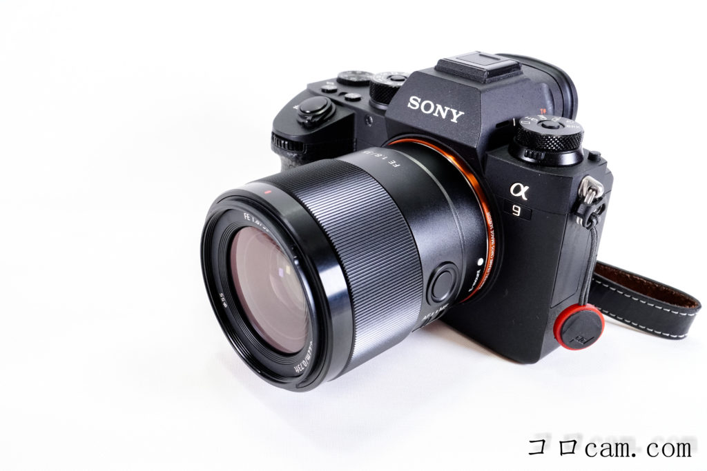 商品レビュー】SONY Eマウント Sonnar 24mm F1.8 ZA SEL24F18Z ～APS-C