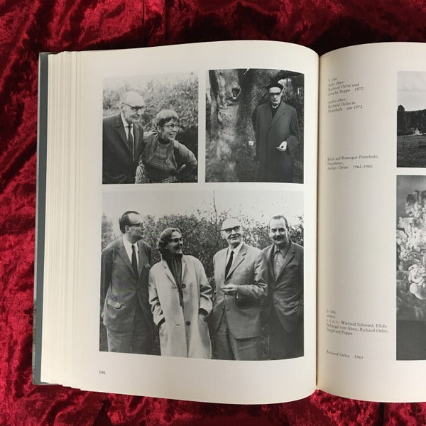 洋書 Das Gesicht der Welt 洋書 Das Gesicht der Welt 洋書 Das