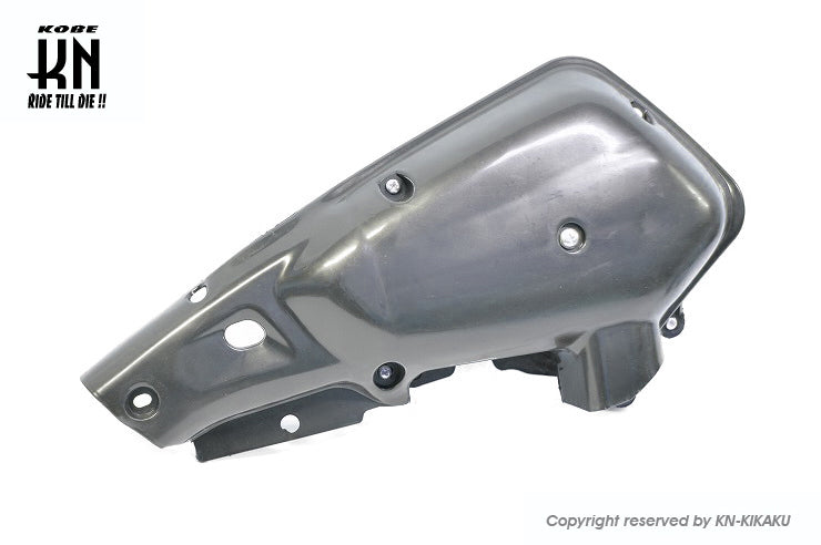 エアクリーナーBOX【フィルター付】 ノーマルタイプ 【ライブディオ系