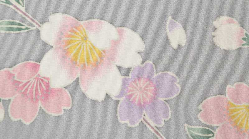 ひとえ_【友禅小紋・グレー地に桜柄】｜着物レンタルあき (来店着付け