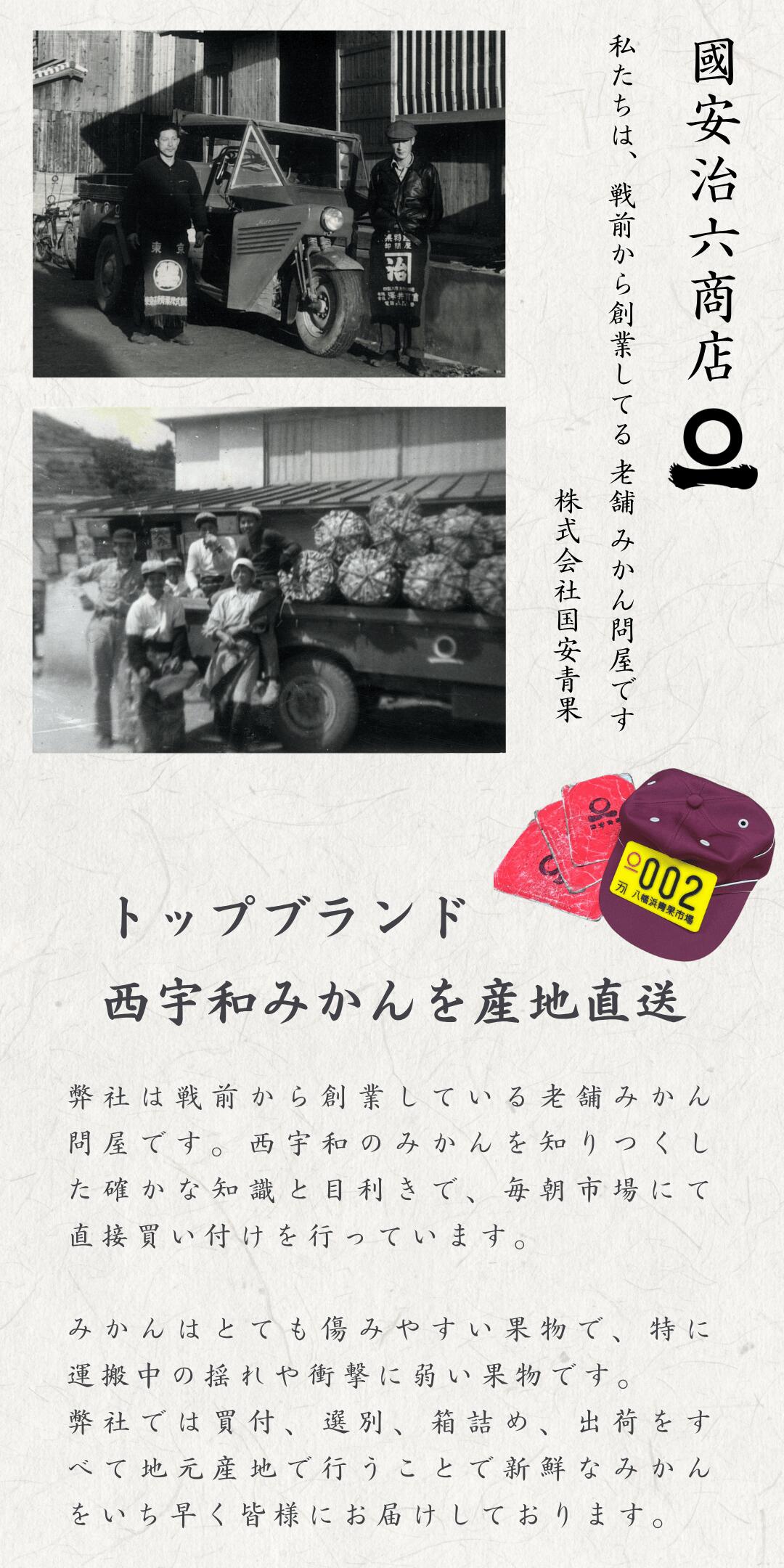見た目傷あり・大きさ不ぞろいでお値打ち価格の愛媛西宇和産せとか【訳
