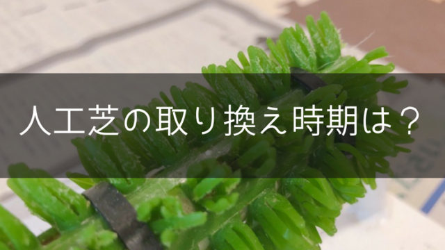 猛禽類の止まり木に必須。パーチに巻く人工芝の取り換え時期は