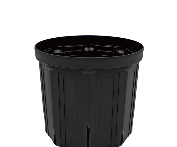 CSM-240_black.png?crop=center&