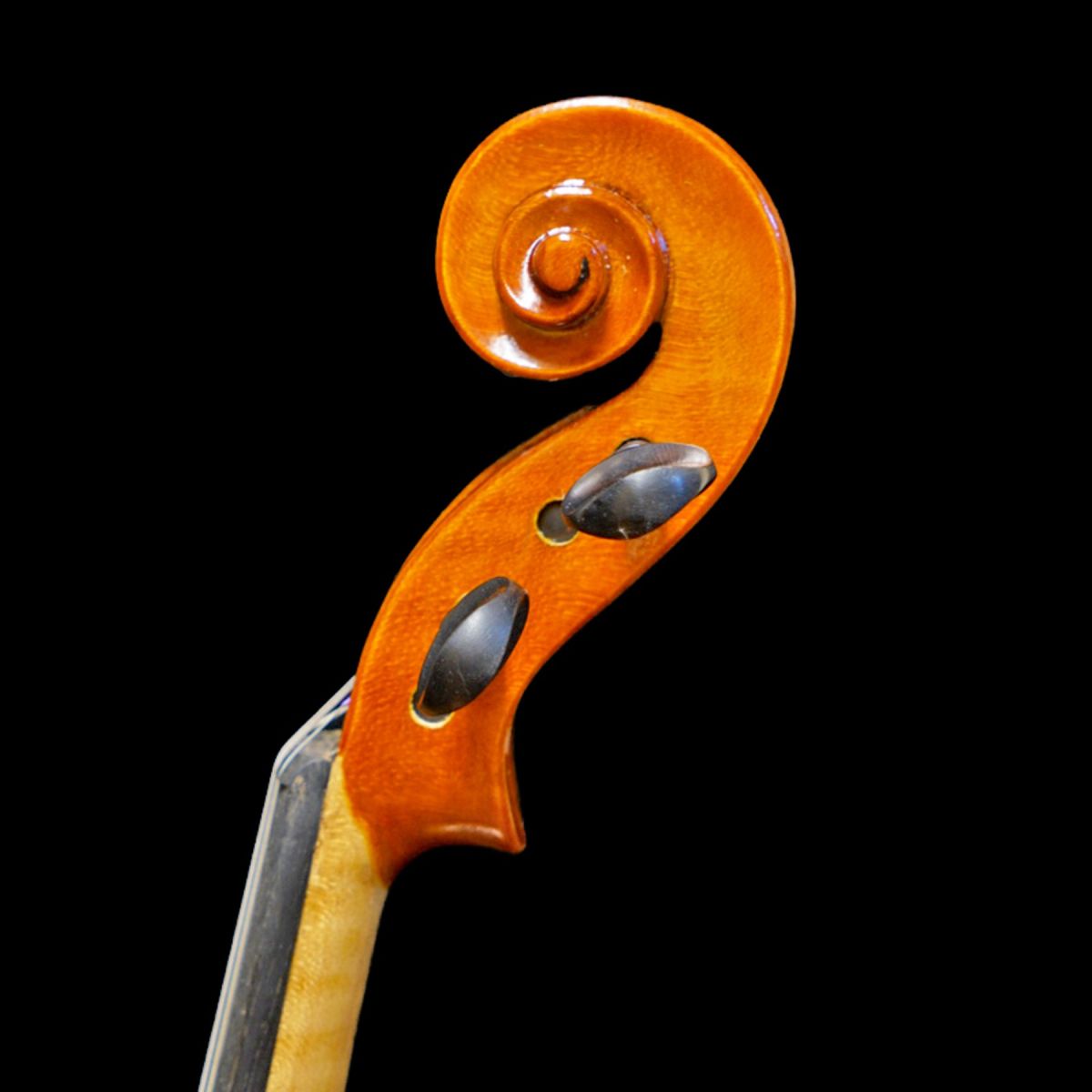 Gems バイオリンセット | 【クロサワ楽器店オンラインショップ】いい