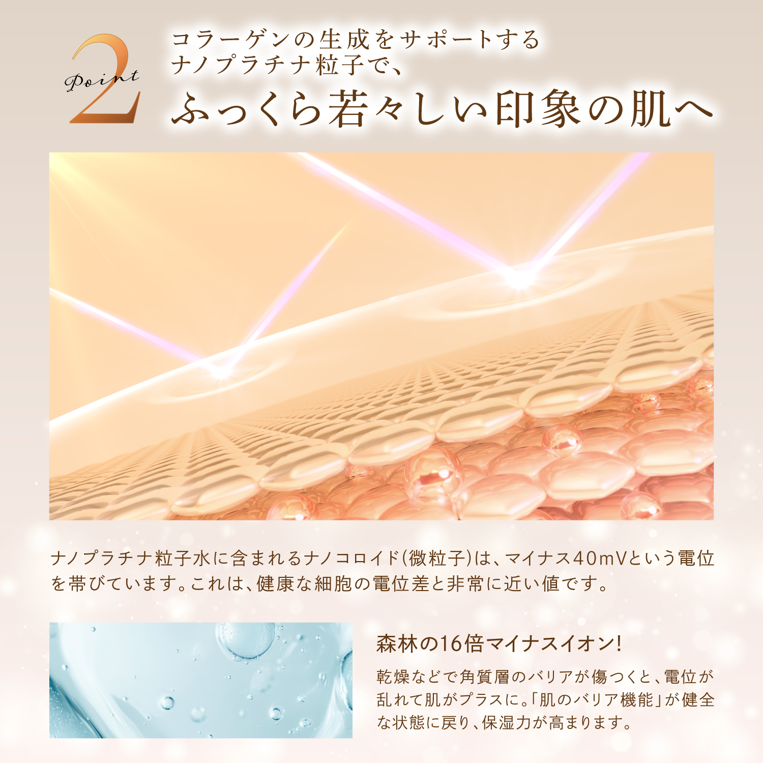 Kyogoku Professional / KYOGOKU ヒト幹細胞導入美容液 3ml セラム 美容液