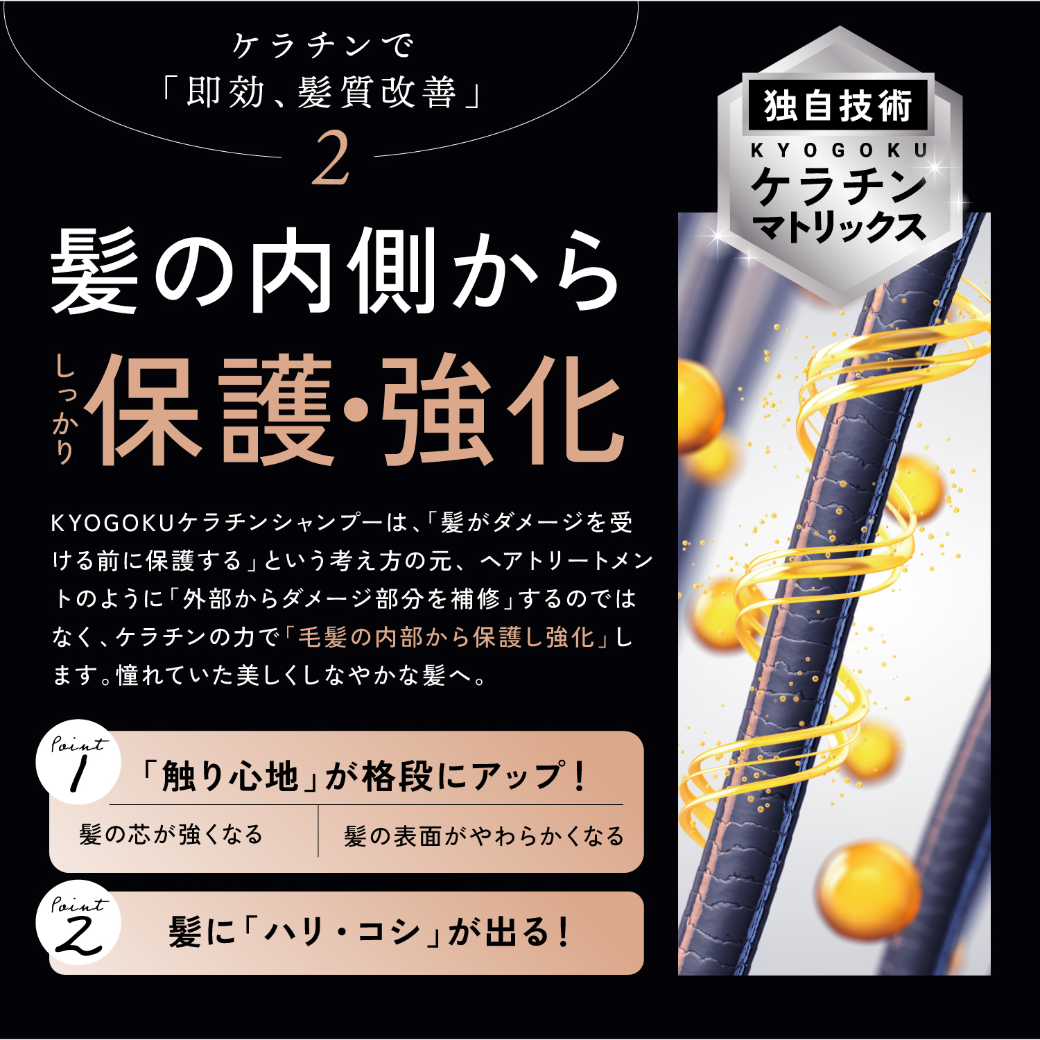 Kyogoku Professional / KYOGOKU ケラチンシャンプー ノンシリコン