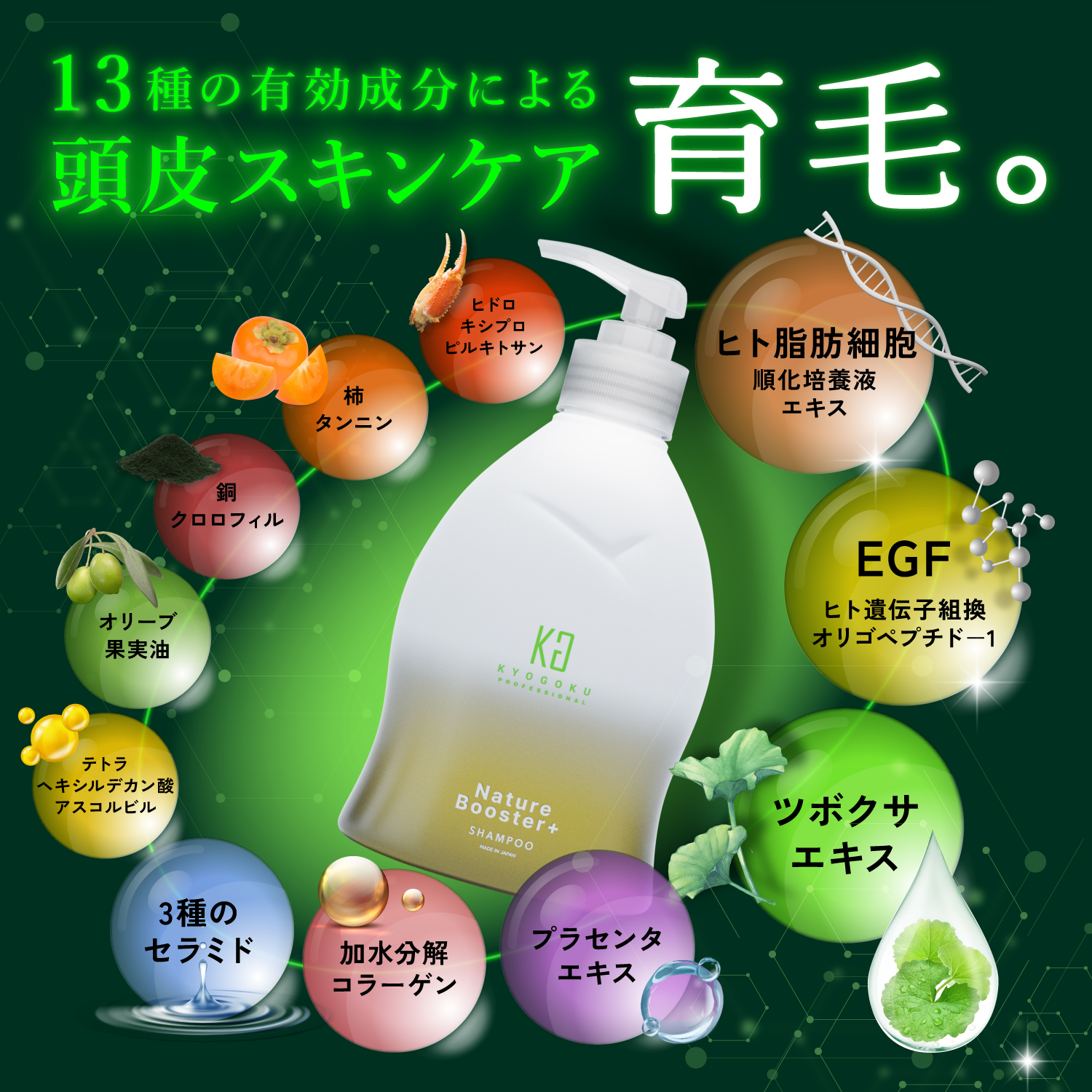 Kyogoku Professional / KYOGOKU ネイチャブースター 三点セット定期便