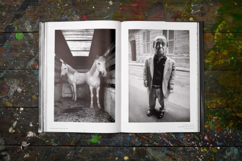 François-Marie Banier : Past Present • La Nouvelle Chambre Claire