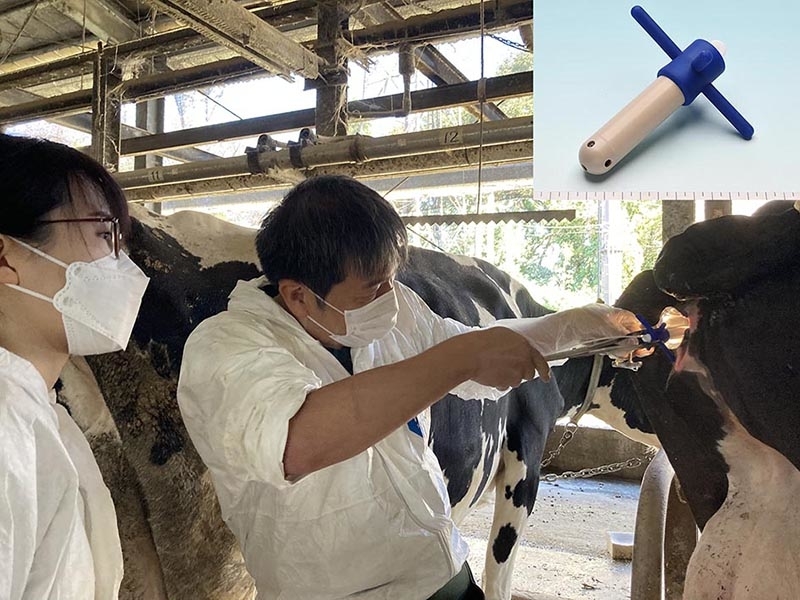 麻布大学|臨床繁殖学研究室