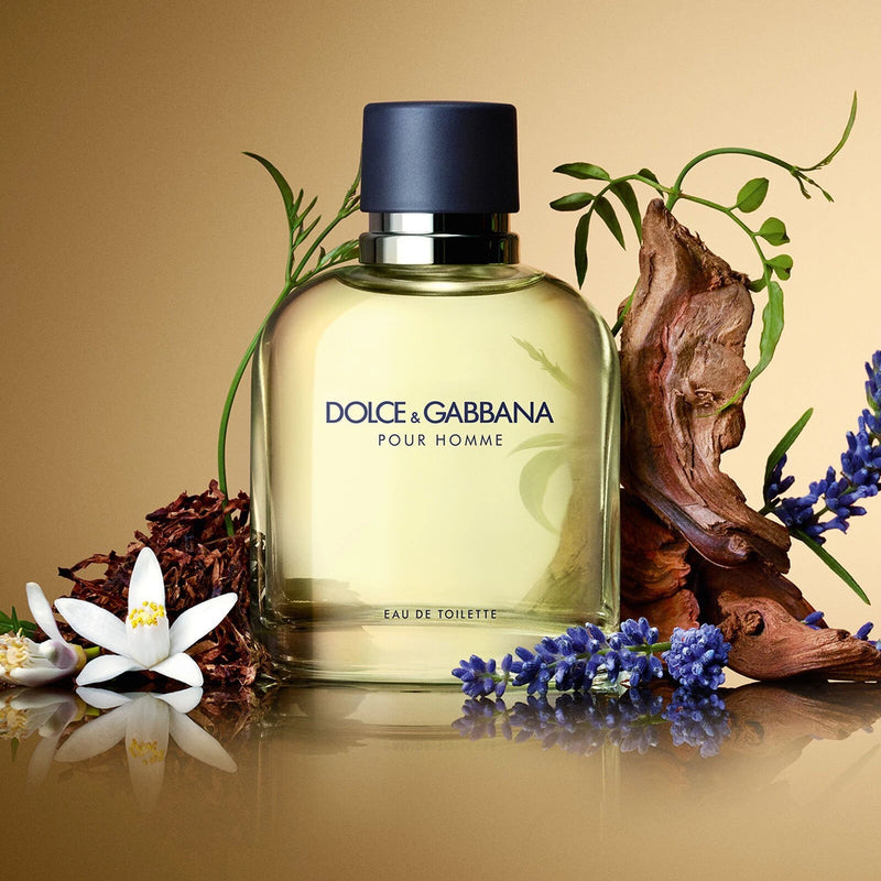 Dolce & Gabbana Pour Homme 6.7 oz EDT – LaBellePerfumes