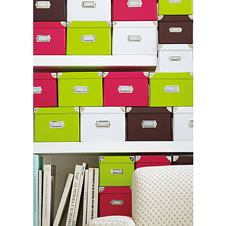 Toffyマジックボックス【L】 TMX-002N | 株式会社ラドンナ- LADONNA -