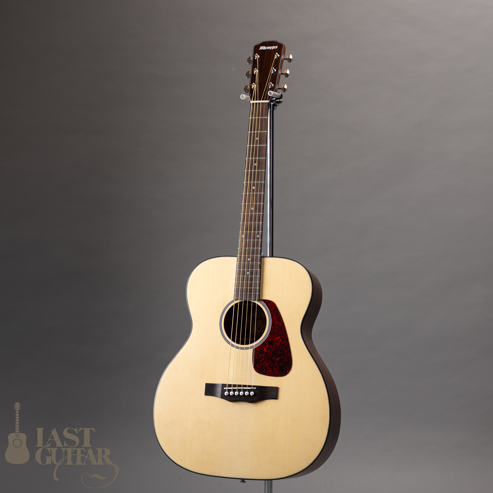 MORRIS F-1 | LAST GUITAR OFFICIAL WEBSITE