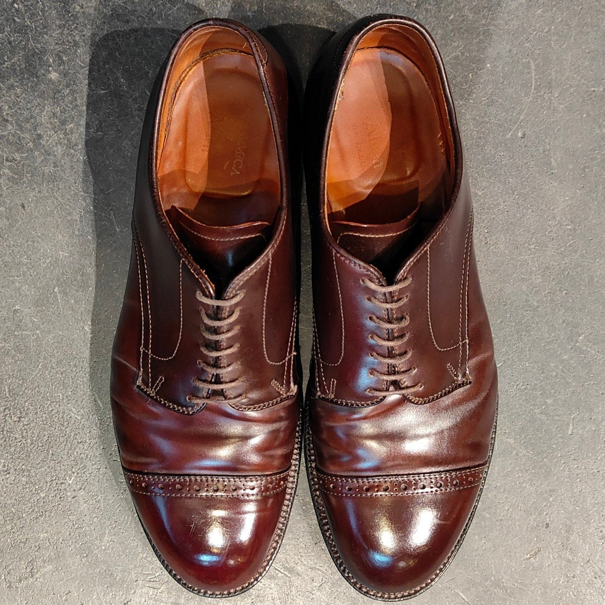 ALDEN】オールデン アナトミカ別注 56259 パンチドキャップトゥ コード