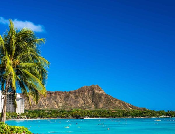 ダイヤモンドヘッドへの登山は予約が必要？予約や登山時の注意点を解説