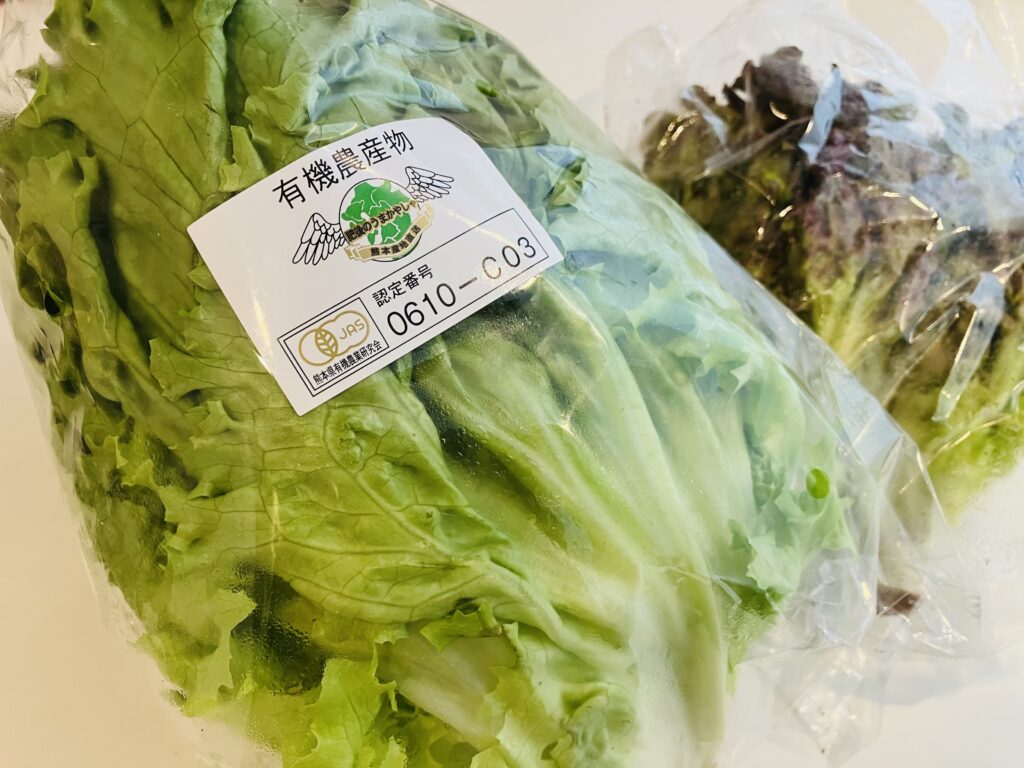 LEEレシピ】レタス大量消費！ふるさと納税でもらった野菜たちを使って